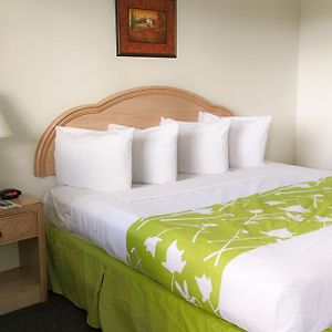 Sunstyle Suites